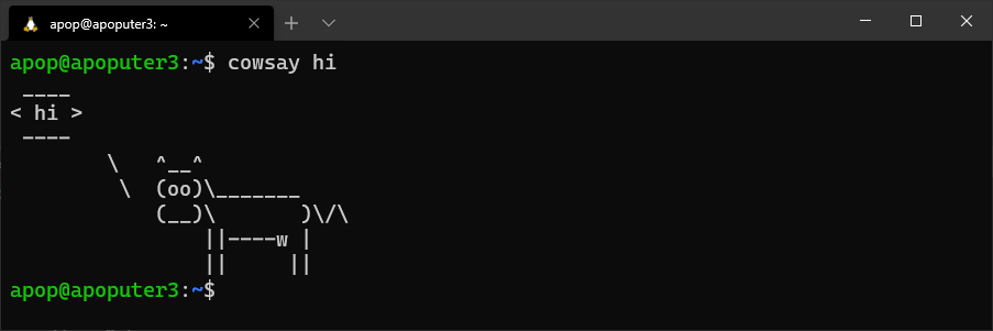 Stupid Useless Things to Do (with Linux)